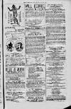 Magnet (Leeds) Saturday 26 June 1875 Page 15