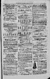 Magnet (Leeds) Saturday 17 July 1875 Page 3