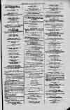 Magnet (Leeds) Saturday 17 July 1875 Page 11