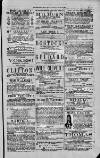 Magnet (Leeds) Saturday 24 July 1875 Page 3
