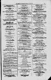 Magnet (Leeds) Saturday 31 July 1875 Page 11