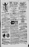 Magnet (Leeds) Saturday 21 August 1875 Page 15