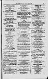 Magnet (Leeds) Saturday 20 November 1875 Page 11