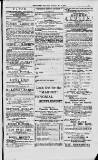 Magnet (Leeds) Saturday 20 November 1875 Page 13