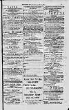Magnet (Leeds) Saturday 04 December 1875 Page 13