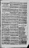 Magnet (Leeds) Saturday 18 December 1875 Page 5