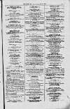 Magnet (Leeds) Saturday 25 December 1875 Page 11
