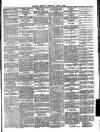 Llanelly Mercury Thursday 04 April 1895 Page 5