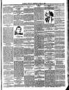 Llanelly Mercury Thursday 18 April 1895 Page 5