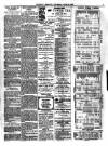 Llanelly Mercury Thursday 21 June 1900 Page 7