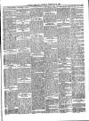 Llanelly Mercury Thursday 21 February 1901 Page 5