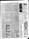 Llanelly Mercury Thursday 09 January 1902 Page 3