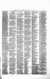 Liverpool Journal of Commerce Monday 02 June 1873 Page 7