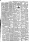 Liverpool Journal of Commerce Tuesday 03 April 1877 Page 3