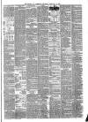 Liverpool Journal of Commerce Thursday 19 February 1880 Page 3