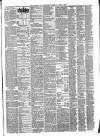 Liverpool Journal of Commerce Thursday 08 April 1880 Page 3