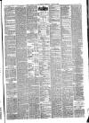 Liverpool Journal of Commerce Thursday 10 June 1880 Page 3