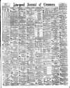 Liverpool Journal of Commerce Saturday 20 November 1880 Page 1