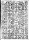Liverpool Journal of Commerce Friday 16 February 1883 Page 1
