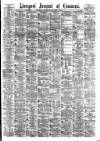 Liverpool Journal of Commerce Wednesday 18 November 1885 Page 1