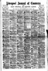 Liverpool Journal of Commerce Tuesday 19 June 1894 Page 1