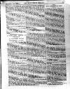 Westerham Herald Friday 01 September 1893 Page 11