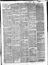 Westerham Herald Saturday 26 December 1896 Page 7