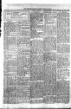 Westerham Herald Saturday 31 May 1919 Page 3