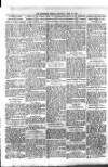 Westerham Herald Saturday 31 May 1919 Page 7