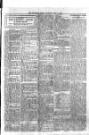 Westerham Herald Saturday 12 July 1919 Page 3