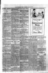 Westerham Herald Saturday 12 July 1919 Page 5