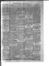 Westerham Herald Saturday 13 December 1919 Page 7