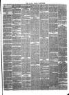 Larne Reporter and Northern Counties Advertiser Saturday 20 May 1865 Page 3