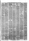 Larne Reporter and Northern Counties Advertiser Saturday 06 June 1868 Page 3