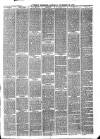 Larne Reporter and Northern Counties Advertiser Saturday 29 November 1873 Page 3