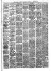 Larne Reporter and Northern Counties Advertiser Saturday 08 April 1876 Page 3