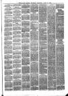 Larne Reporter and Northern Counties Advertiser Saturday 29 April 1876 Page 3