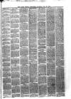 Larne Reporter and Northern Counties Advertiser Saturday 25 November 1876 Page 3