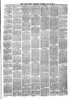 Larne Reporter and Northern Counties Advertiser Saturday 20 January 1877 Page 3