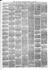 Larne Reporter and Northern Counties Advertiser Saturday 08 December 1877 Page 3