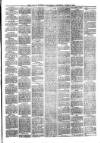 Larne Reporter and Northern Counties Advertiser Saturday 08 June 1878 Page 3