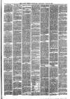 Larne Reporter and Northern Counties Advertiser Saturday 15 June 1878 Page 3