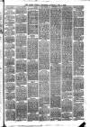 Larne Reporter and Northern Counties Advertiser Saturday 02 November 1878 Page 3