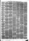 Larne Reporter and Northern Counties Advertiser Saturday 09 November 1878 Page 3