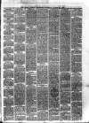 Larne Reporter and Northern Counties Advertiser Saturday 20 March 1880 Page 3