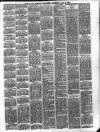 Larne Reporter and Northern Counties Advertiser Saturday 08 January 1881 Page 3
