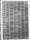 Larne Reporter and Northern Counties Advertiser Saturday 12 February 1881 Page 3