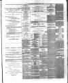 Sutton Coldfield and Erdington Mercury Saturday 19 April 1890 Page 3