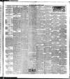 Sutton Coldfield and Erdington Mercury Friday 17 November 1893 Page 3