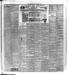 Sutton Coldfield and Erdington Mercury Friday 29 December 1893 Page 3